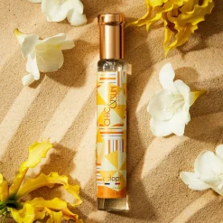 Discount Adopt Chic & Sun