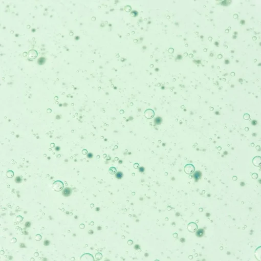 Sale Adopt Verveine Fizz